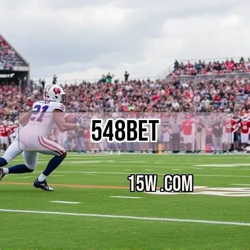 548bet.com: Fidelidade que Transforma sua Experiência de Jogo Online